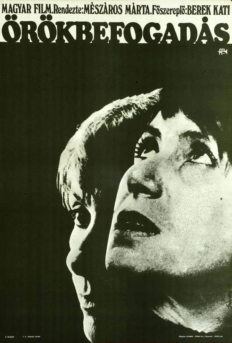 《领养》：跨国母女情深，爱与责任的泪光闪耀，解读被遗弃的温暖